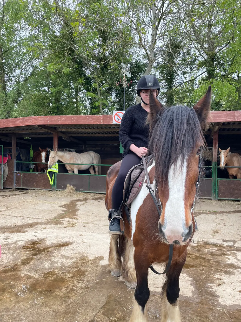 Rider in a black helmet sitting on a skewbald cob in a stable yard
